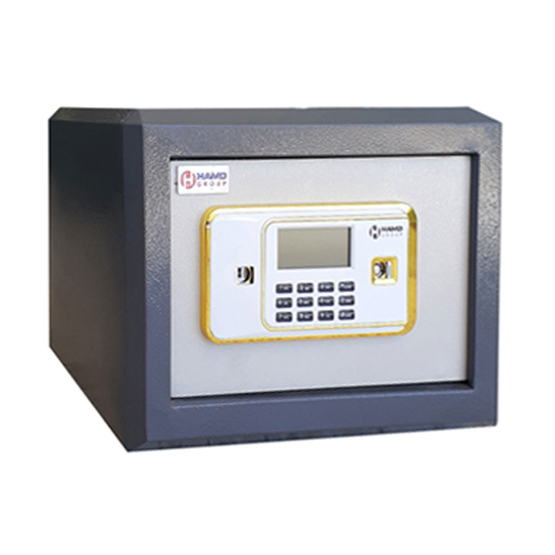 Coffre-FE-310